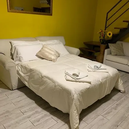 The 65 Guest house
